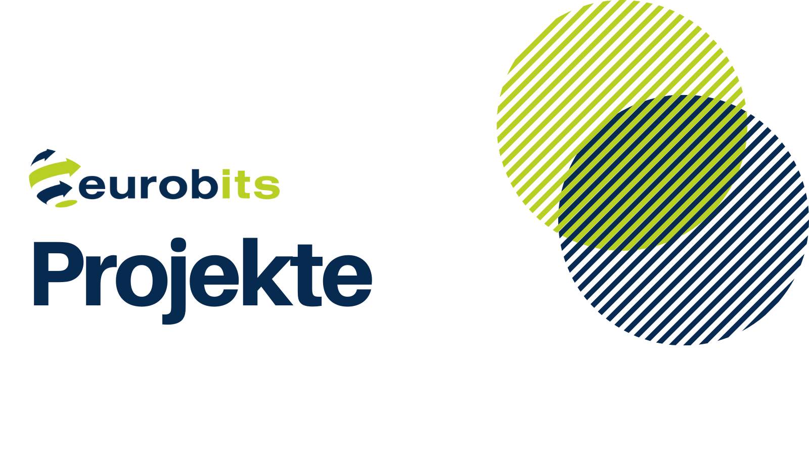Projects - eurobits e.V.